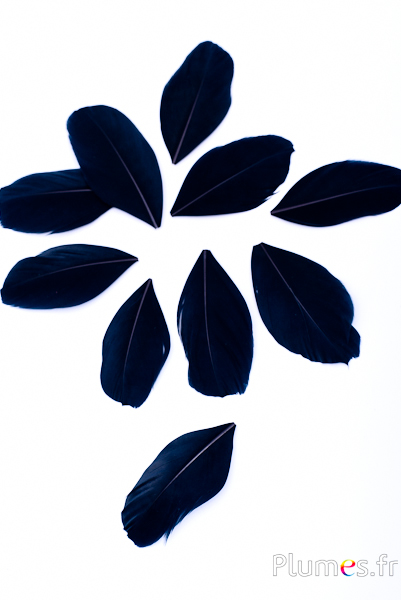 Pétales en plumes - 6-8 x 3-4 cm - noir